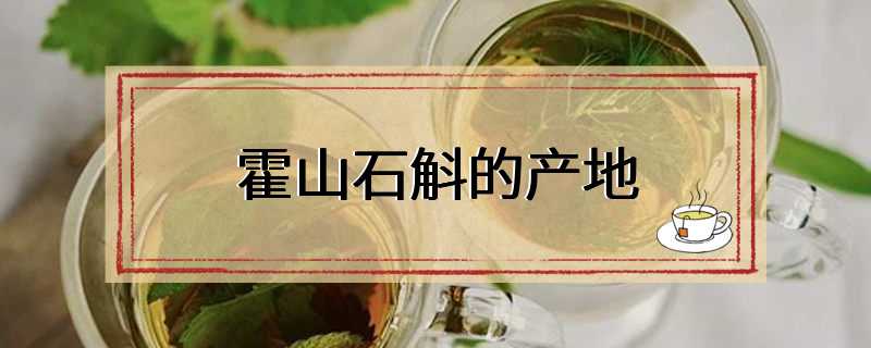 霍山石斛的产地