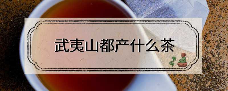 武夷山都产什么茶