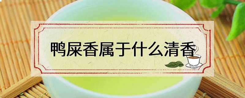 鸭屎香属于什么清香