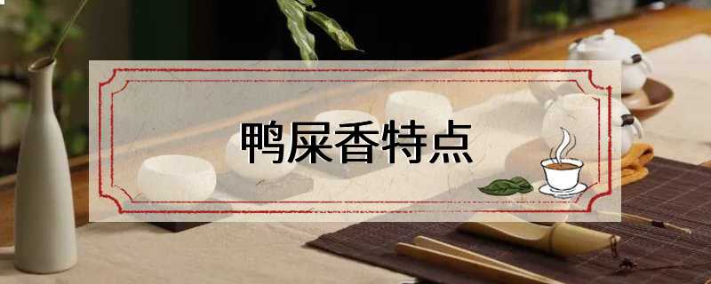 鸭屎香特点