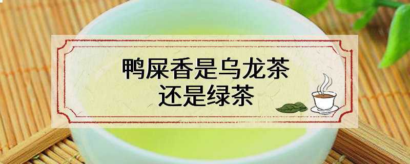鸭屎香是乌龙茶还是绿茶