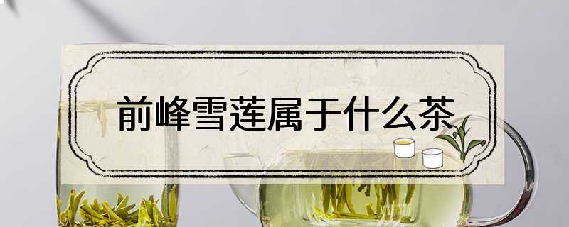 前峰雪莲属于什么茶