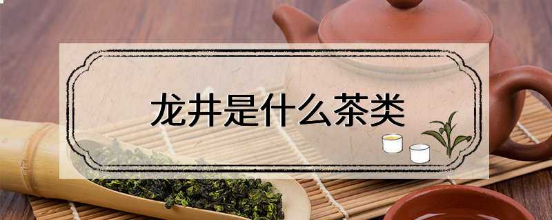 龙井是什么茶类