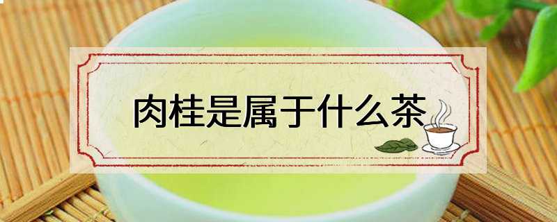 肉桂是属于什么茶