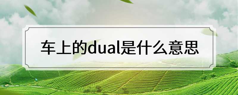 车上的dual是什么意思