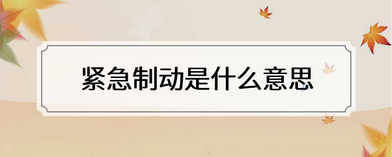 紧急制动是什么意思