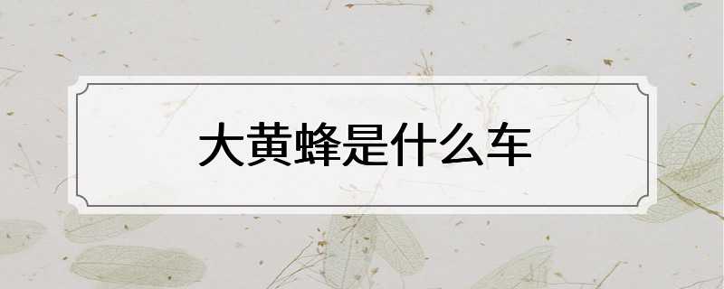 大黄蜂是什么车