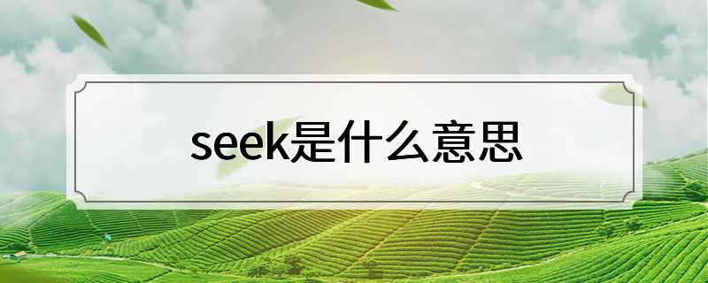 seek是什么意思