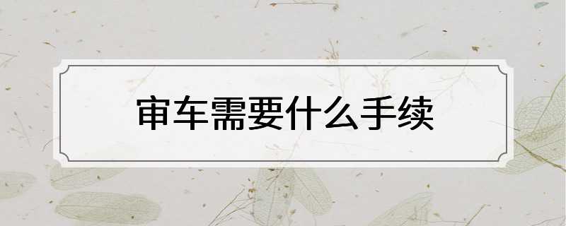 审车需要什么手续