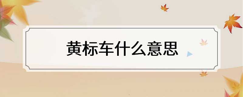 黄标车什么意思