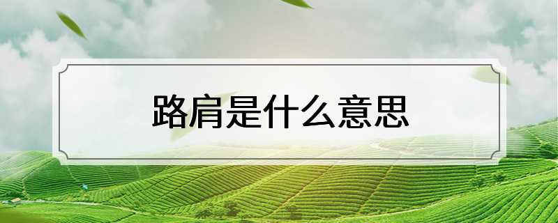 路肩是什么意思