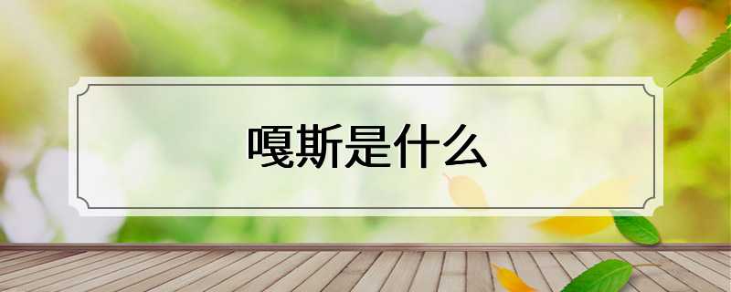 嘎斯是什么