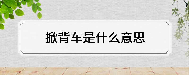 掀背车是什么意思