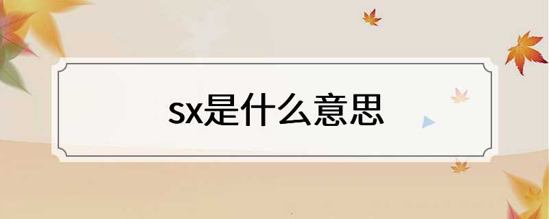 sx是什么意思