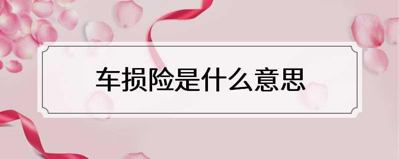 车损险是什么意思