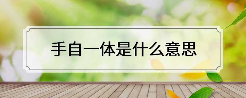 手自一体是什么意思