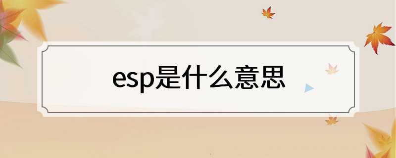 esp是什么意思