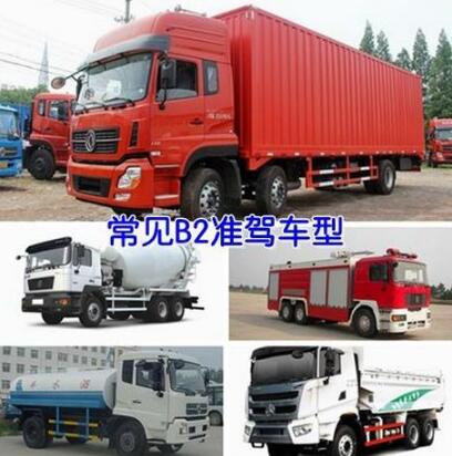 b1b2驾驶证能开什么车(1)