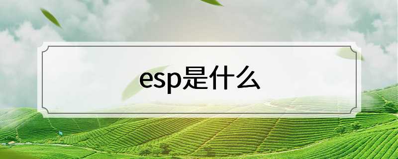 esp是什么