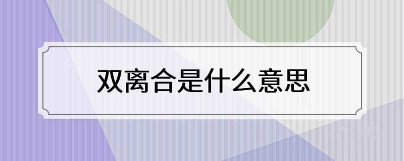 双离合是什么意思