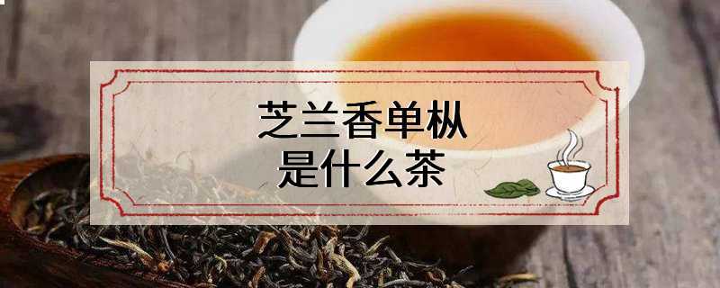 芝兰香单枞是什么茶