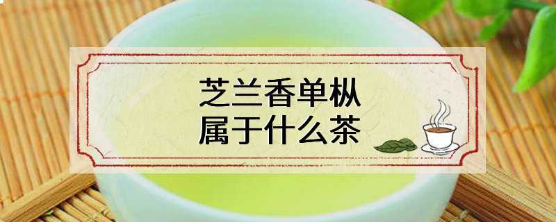 芝兰香单枞属于什么茶
