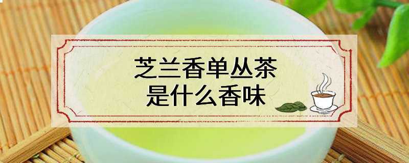 芝兰香单丛茶是什么香味