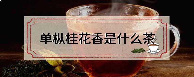单枞桂花香是什么茶