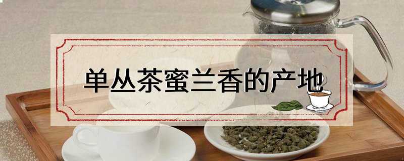 单丛茶蜜兰香的产地