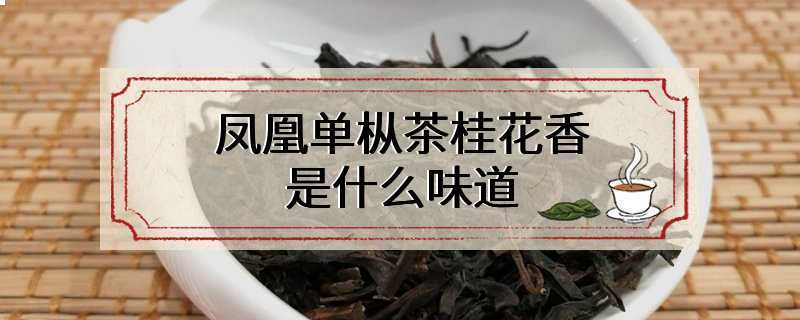 凤凰单枞茶桂花香是什么味道