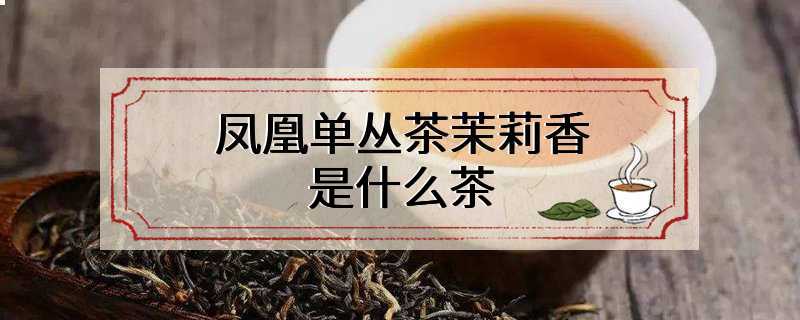 凤凰单丛茶茉莉香是什么茶