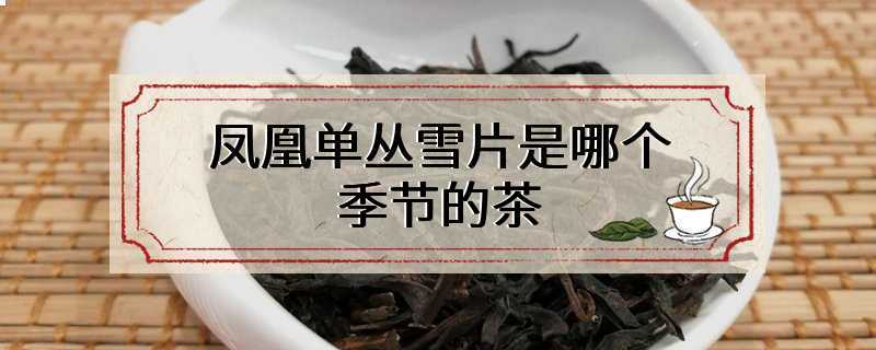 凤凰单丛雪片是哪个季节的茶