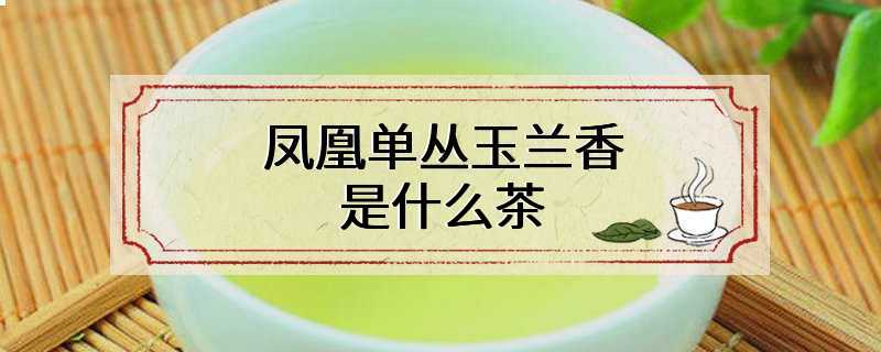 凤凰单丛玉兰香是什么茶