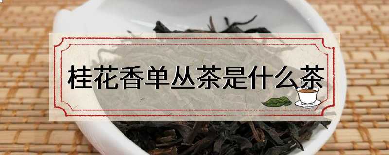 桂花香单丛茶是什么茶