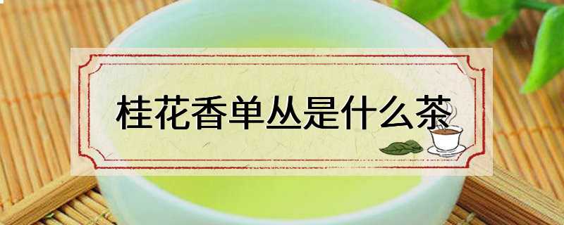桂花香单丛是什么茶
