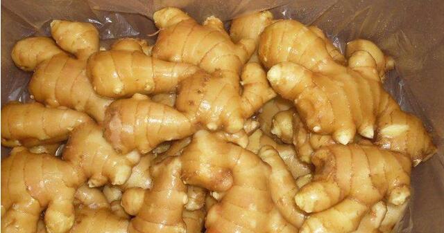 怎么喝生姜乌龙茶减肥