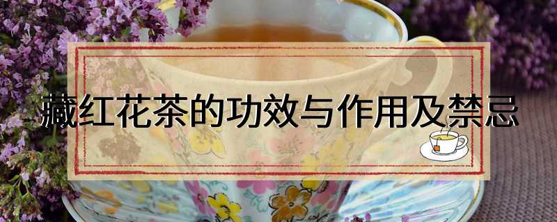 藏红花茶的功效与作用及禁忌