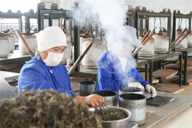 有关于一周速读:2022春茶开采、2021云南茶界、普洱茶市场发展趋势分析的新闻(7)
