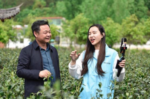 关于中国茶业自媒体发展报告(上)的信息(2)