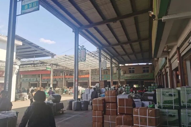 有关于做好五项准备，静候春茶开采的消息(4)