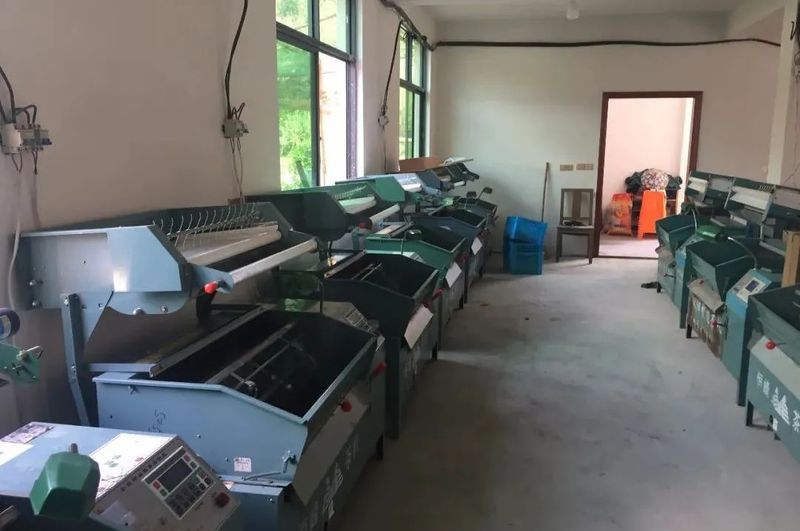 有关于做好五项准备，静候春茶开采的消息(1)