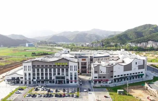关于盘点2021广东、福建茶业发生了哪些大事?的相关信息(7)