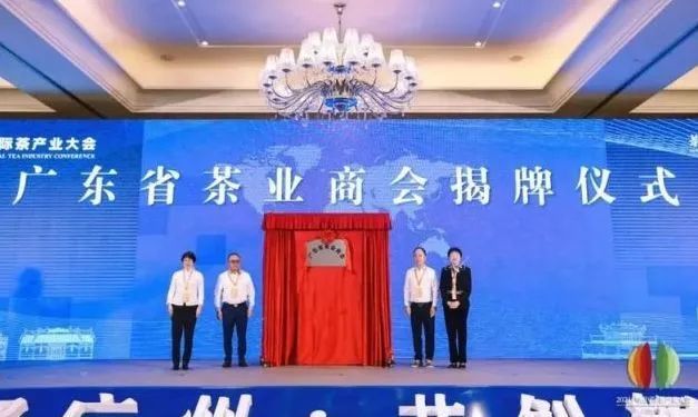 关于盘点2021广东、福建茶业发生了哪些大事?的相关信息(3)