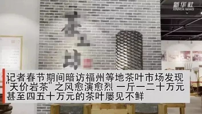 关于盘点2021广东、福建茶业发生了哪些大事?的相关信息(6)
