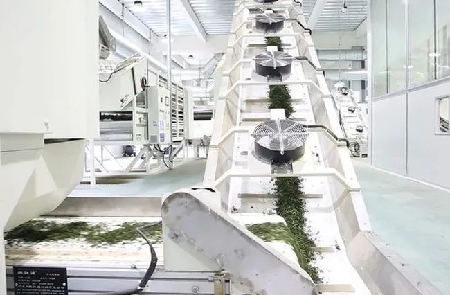 关于我国茶叶机械研究进展与展望的最新消息