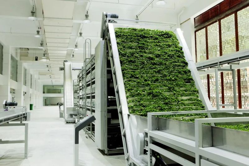 关于我国茶叶机械研究进展与展望的最新消息(5)