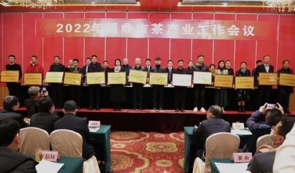 关于2022年福鼎茶产业要这么干！的信息(3)