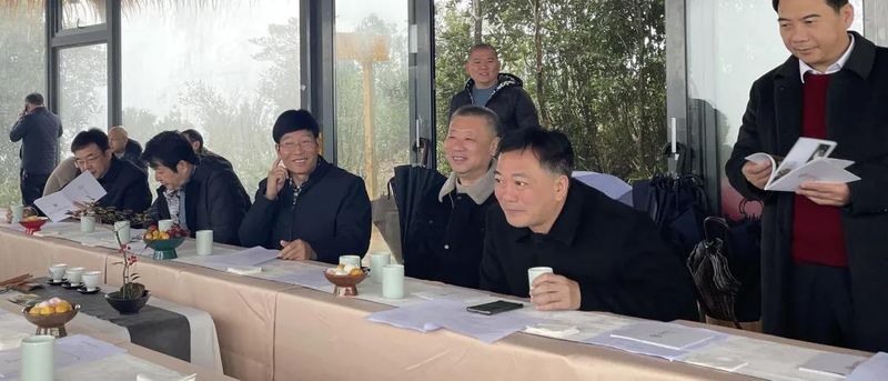 有关于宁德市省政协委员“茶文化、茶产业、茶科技融合发展调研组”考察大荒森林荒野老树白茶山的相关内容(4)