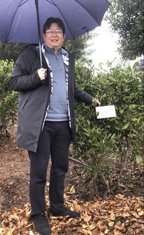 有关于宁德市省政协委员“茶文化、茶产业、茶科技融合发展调研组”考察大荒森林荒野老树白茶山的相关内容(7)