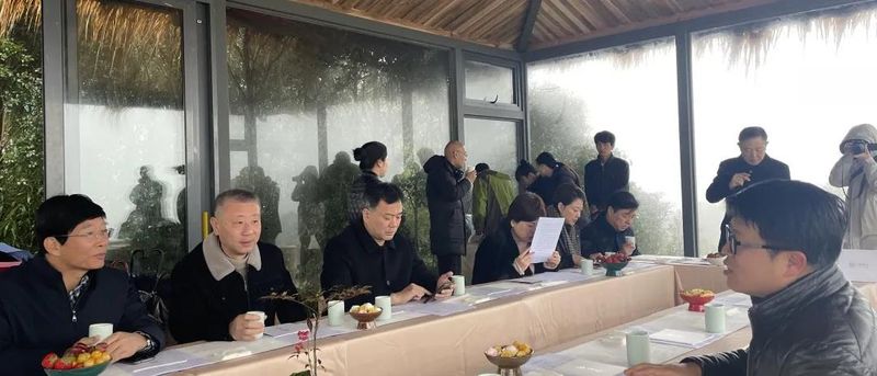 有关于宁德市省政协委员“茶文化、茶产业、茶科技融合发展调研组”考察大荒森林荒野老树白茶山的相关内容(1)